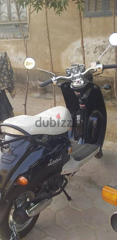 فيسبا ڤيجورى جديده