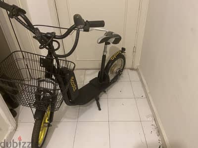 Mini Scooter – Glide Electric