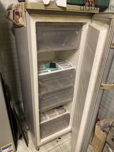 WhiteWale Deep Freezer