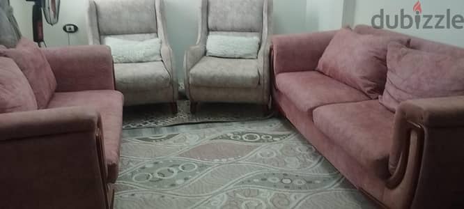 انترية للبيع