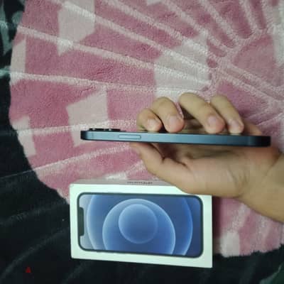 Apple - iPhone 12