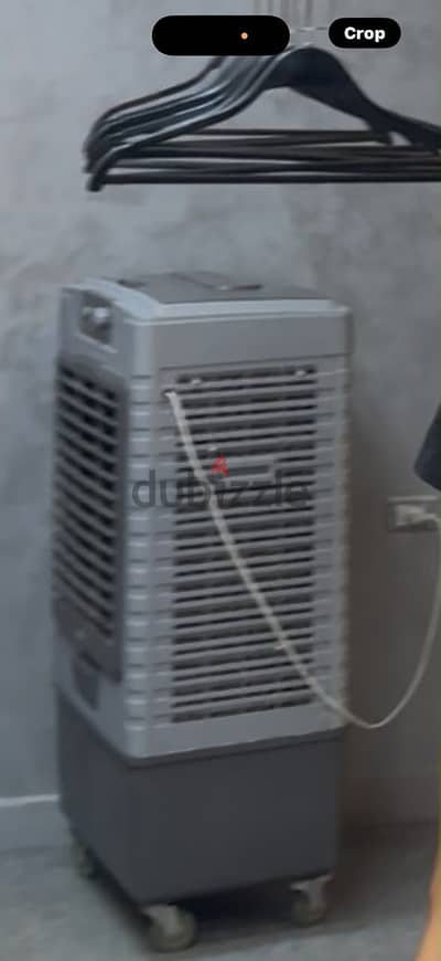 تاكيف صحراوي