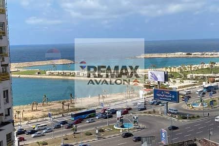 Apartment for Sale 300 m Zizinia (Directly on the Sea)