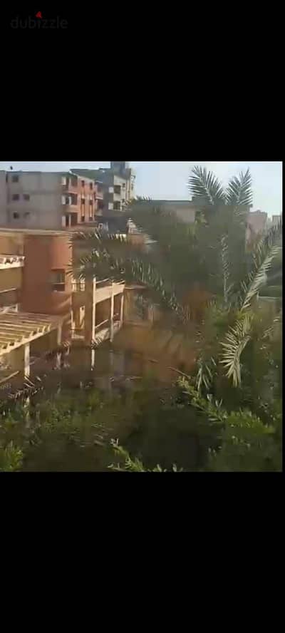 شقة لووووووووقطة في موقع متميز جدا في زهراء العجمي بسعر لوقطططططة