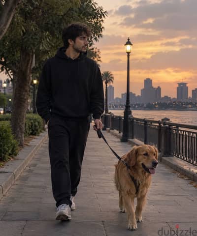 Pet walking