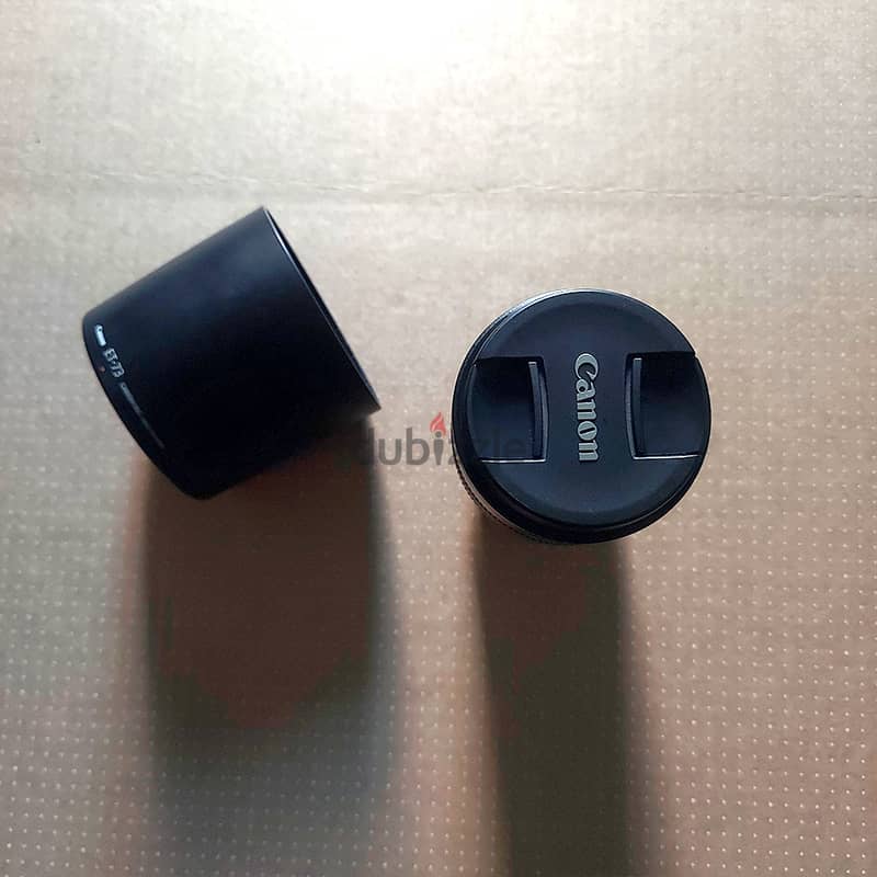Canon EF 100 Macro + Mount Adapter 2