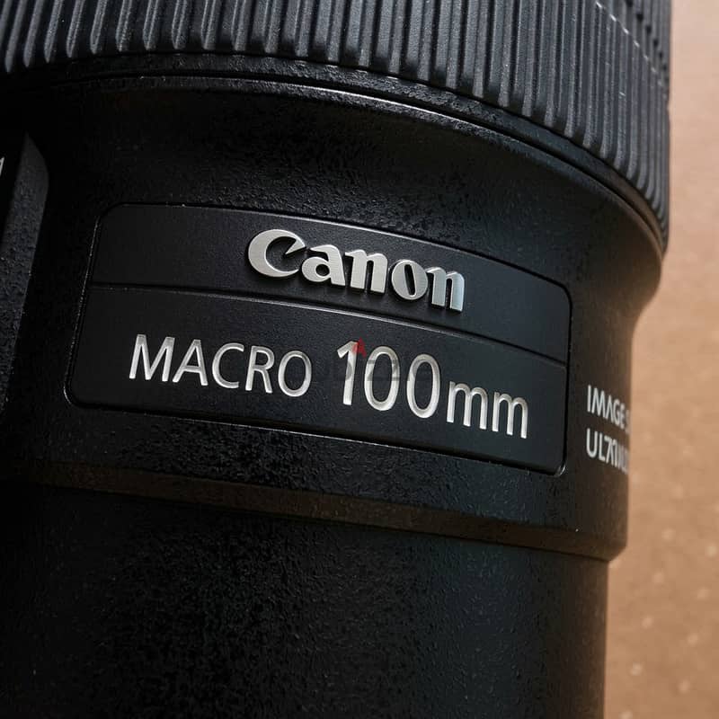 Canon EF 100 Macro + Mount Adapter 6