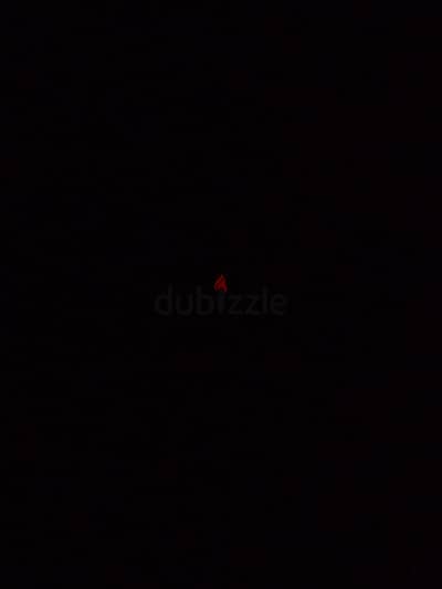 مطلوب فروخ دره و كويكر للبدل ب فرخ باينبول هاي ريد