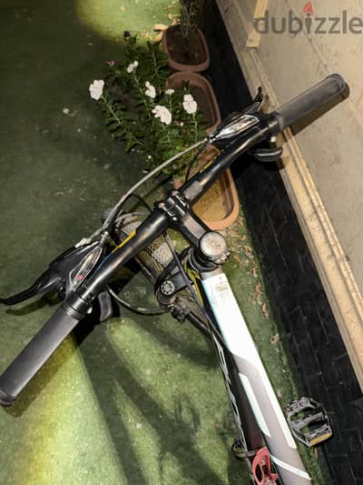 Phoenix 26100
