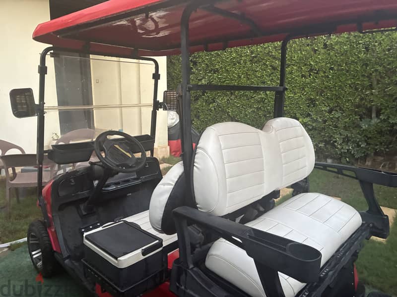 Raya auto golf cart 2022 1