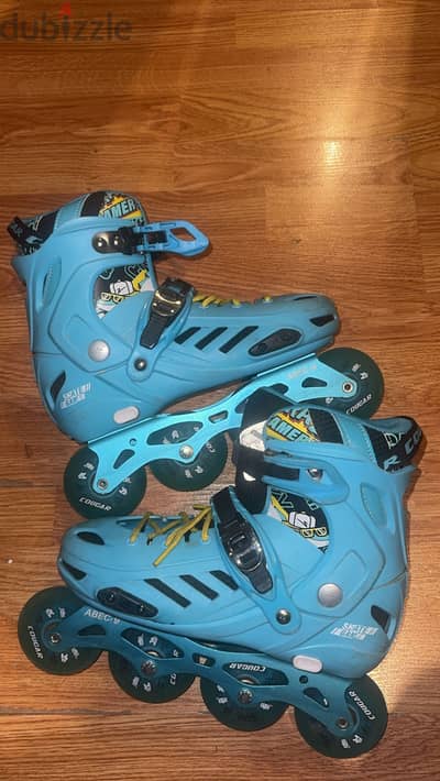 Skate shoes Cogar 313