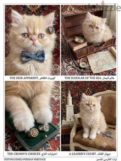 ولد بيرشن بيور