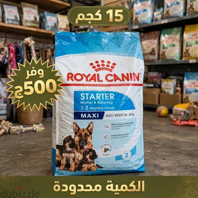 رويال كانين ماكسي ستارتر 15ك