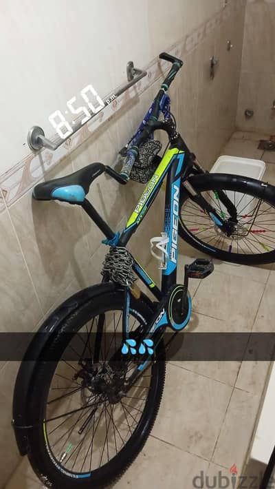 عجله phoenix مفيها اي حاجه