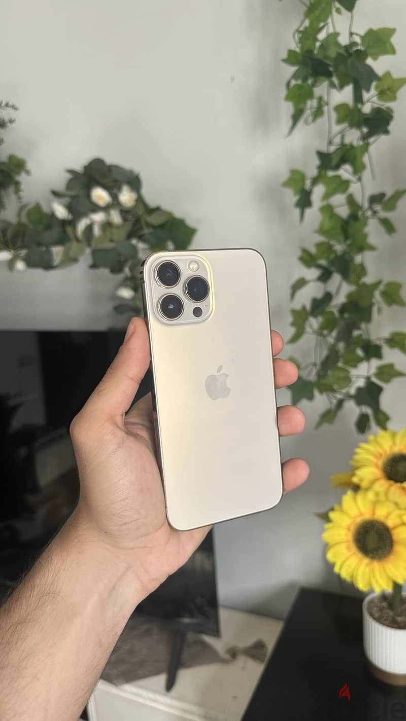 Apple - iPhone 13 Pro Max 2