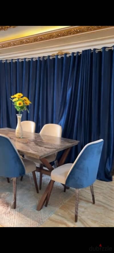 for rent  On the Maadi Corniche  First-row Nile view