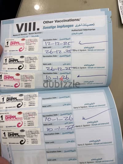 روت وايلر روت وايلر