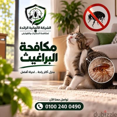رش مبيدات حشرات المنزل بمصر