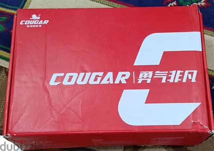 skate cougar 509-39