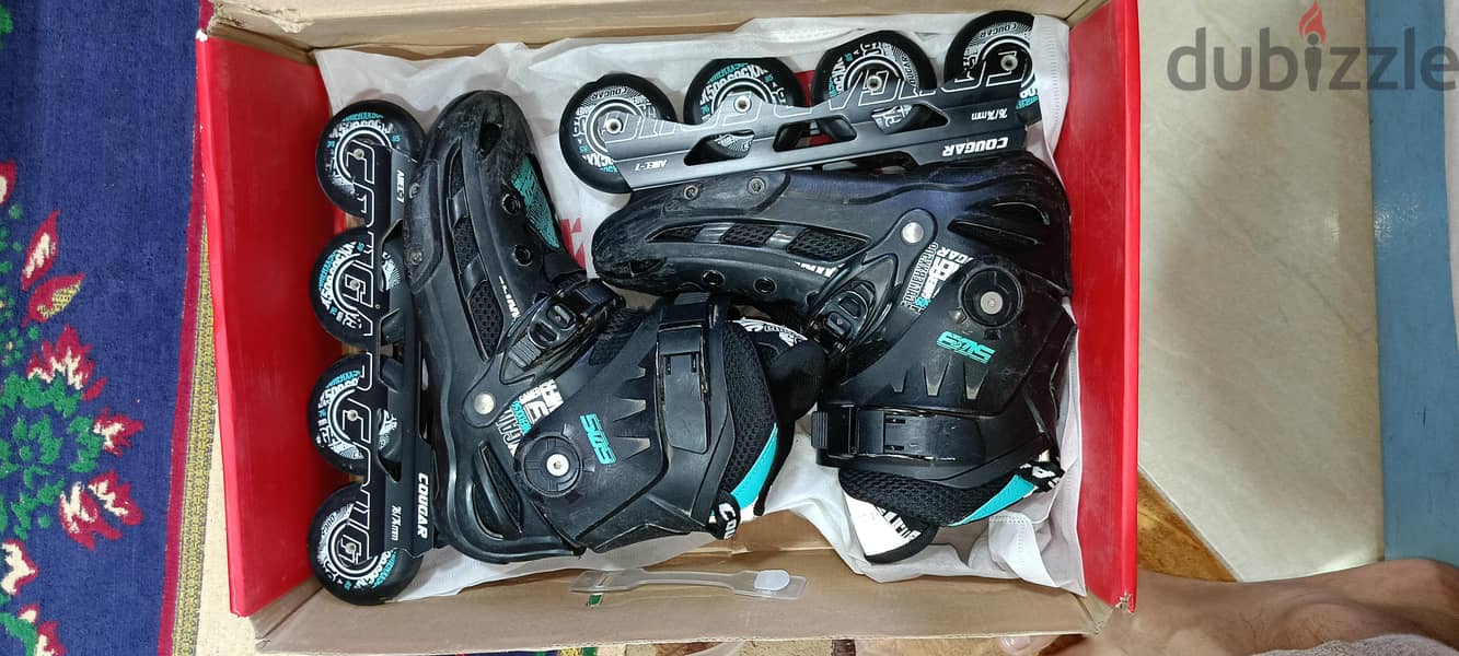 skate cougar 509-39 8