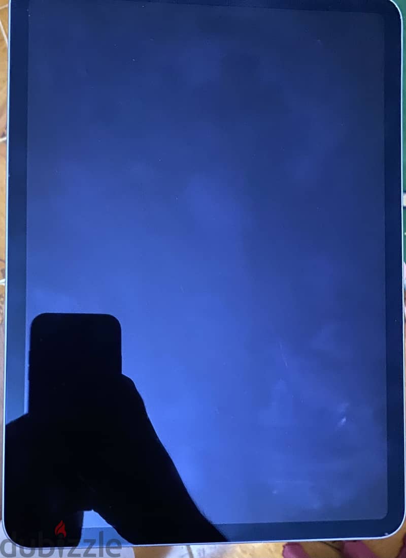 Ipad Pro  11 Inch (256 GB ) 5
