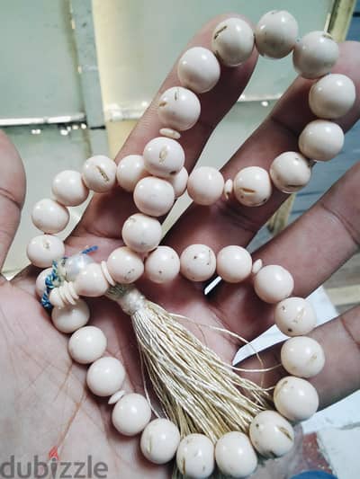مسباح