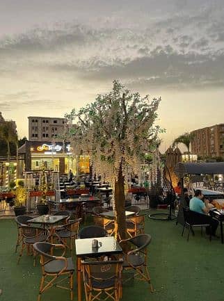 Exceptional Commercial Opportunity on Dahshur Link | 125 SQM Shop + 200 SQM Outdoor Area | Fully Finished | Ideal for Car Showroom | Prime Sheikh Zaye
