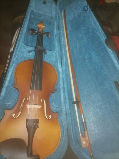violin