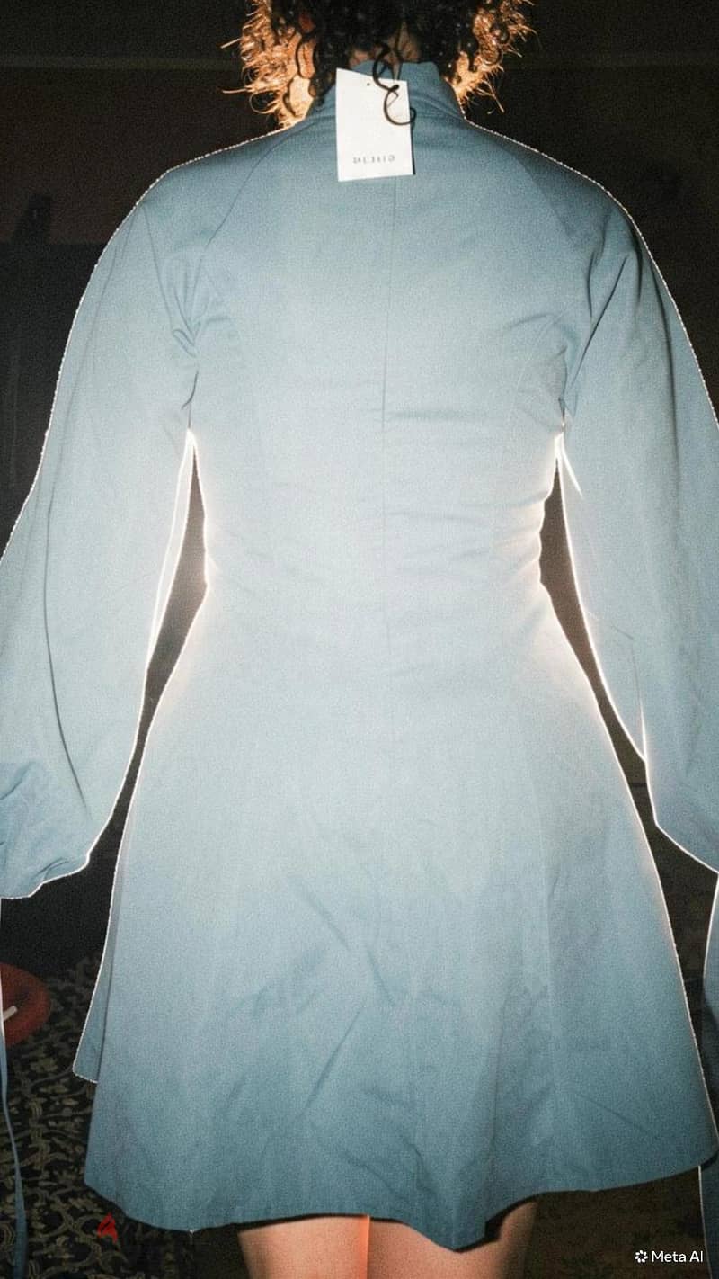 dress 1
