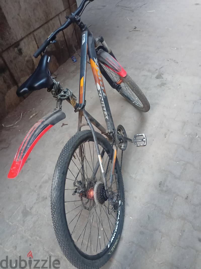 trinx m136 pro 1