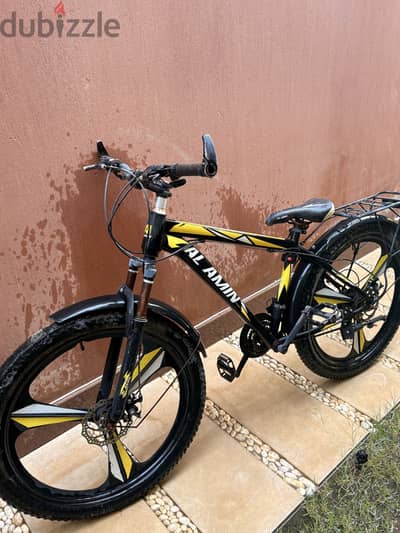 Bicycles model 2024