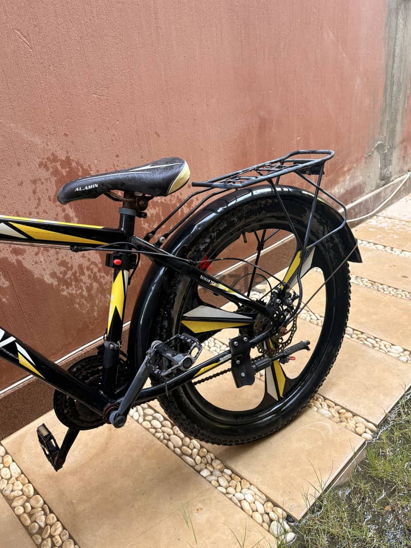 Bicycles model 2024 1