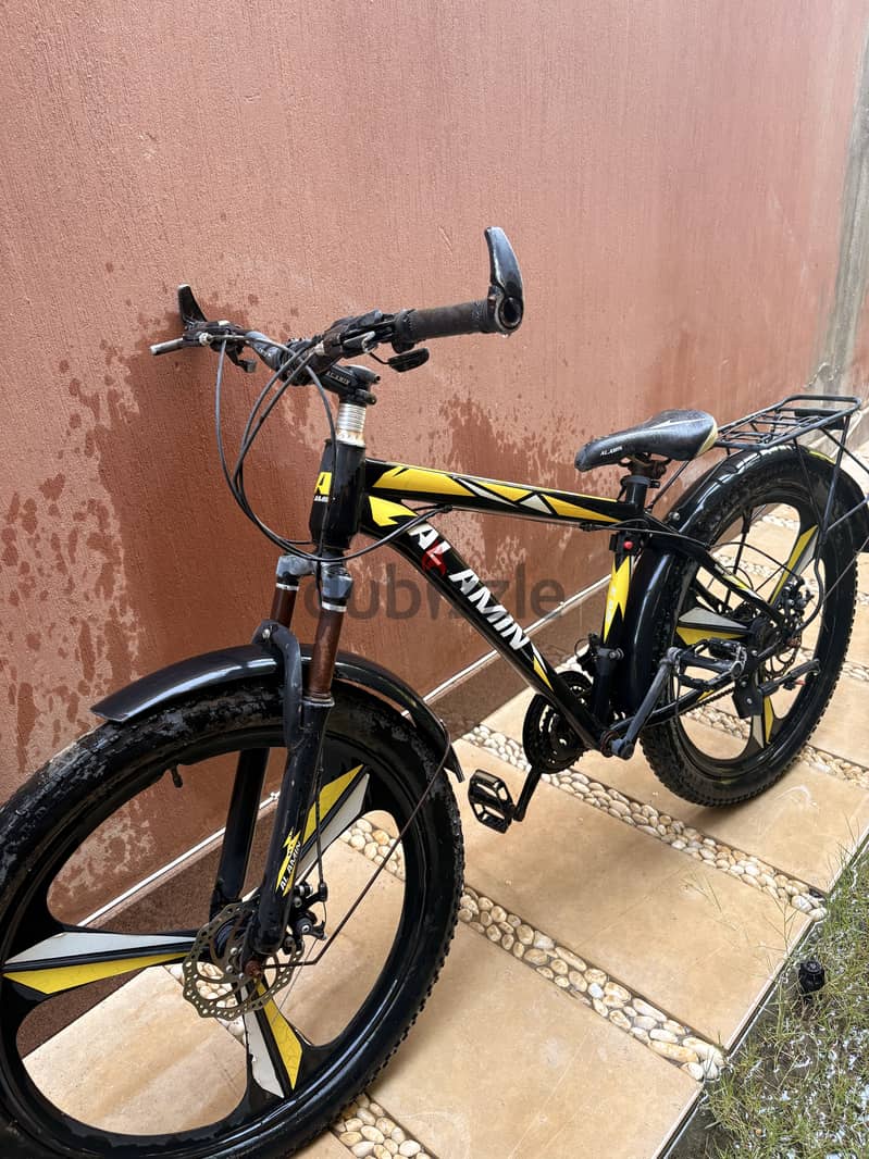 Bicycles model 2024 2