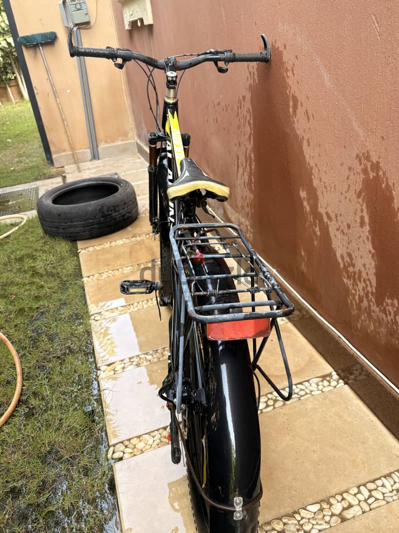 Bicycles model 2024 3