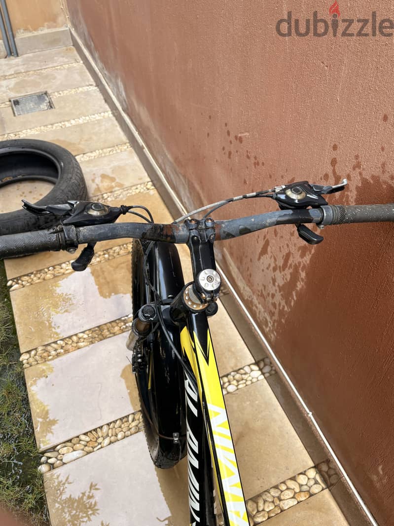 Bicycles model 2024 4