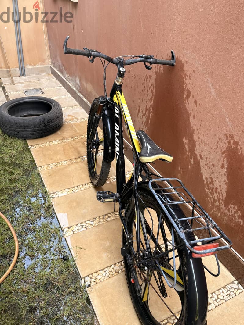 Bicycles model 2024 5