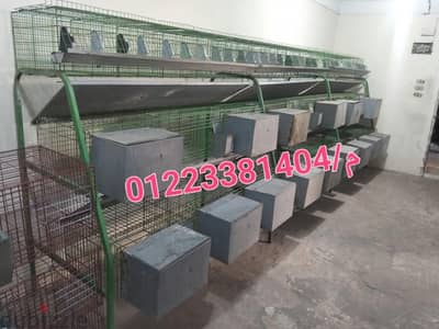 بطاريات ارانب 11 عين استعمال