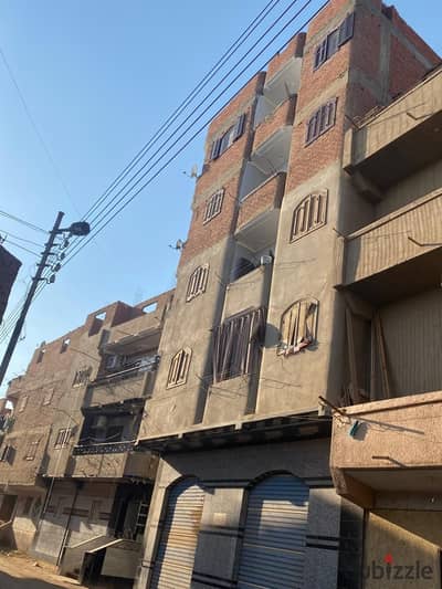 قرية ابنهس التابعة لمحافظة المنوفية بجوار مسجد الشيخ حلمى الدسوقي اول الطريق الزراعى /امام منزل الحاج سعيد شلبي