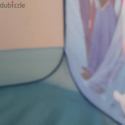 frozen play tent for kids (used)