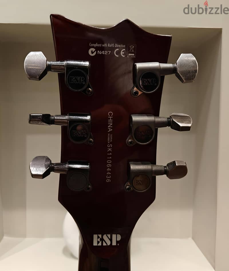 Mint - ESP Ltd EC-10 - Brilliant sunburst 6