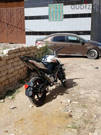 هوجن ايفو