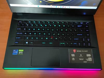 MSI GE66 Raider 11UG
