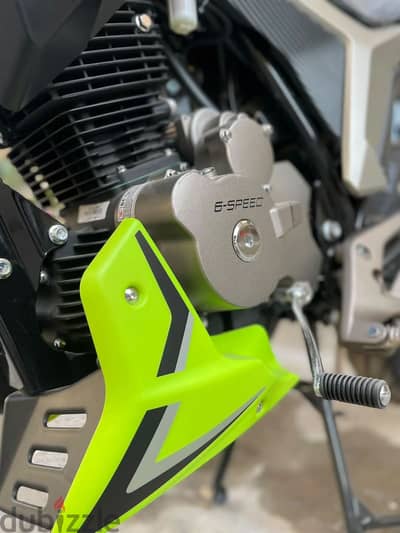 هوجن z250