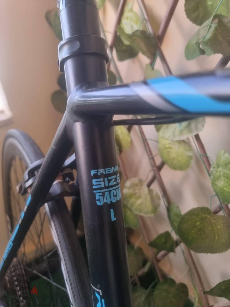 Galaxy RL 800 Road 6