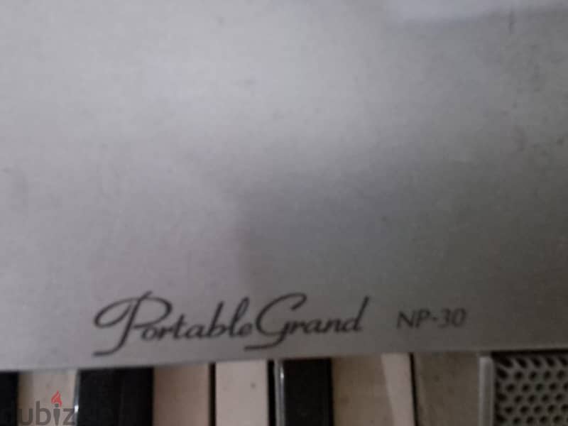 Yamaha protable ground np-30 2