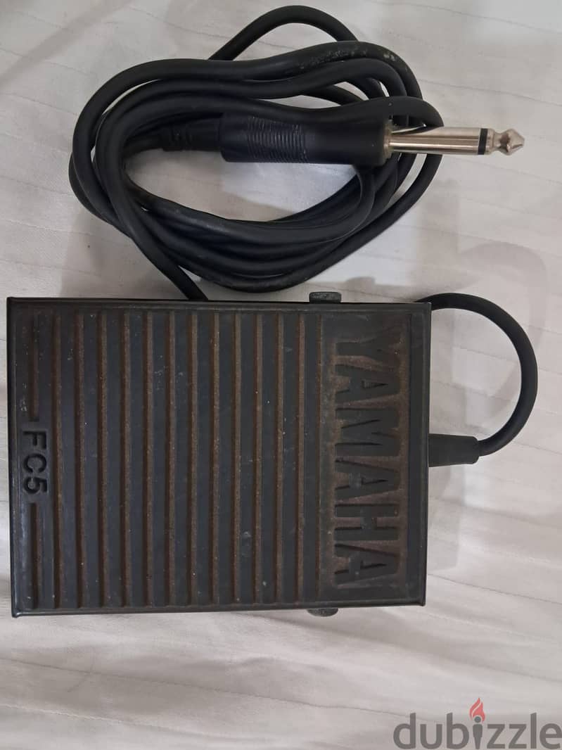 Yamaha protable ground np-30 3