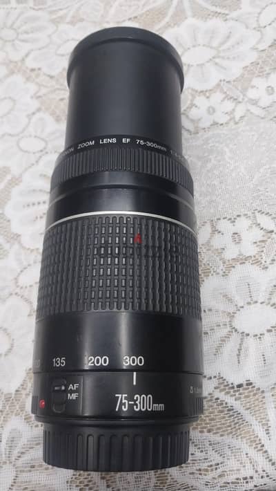 Canon EF 75-300mm f/4-5.6 III