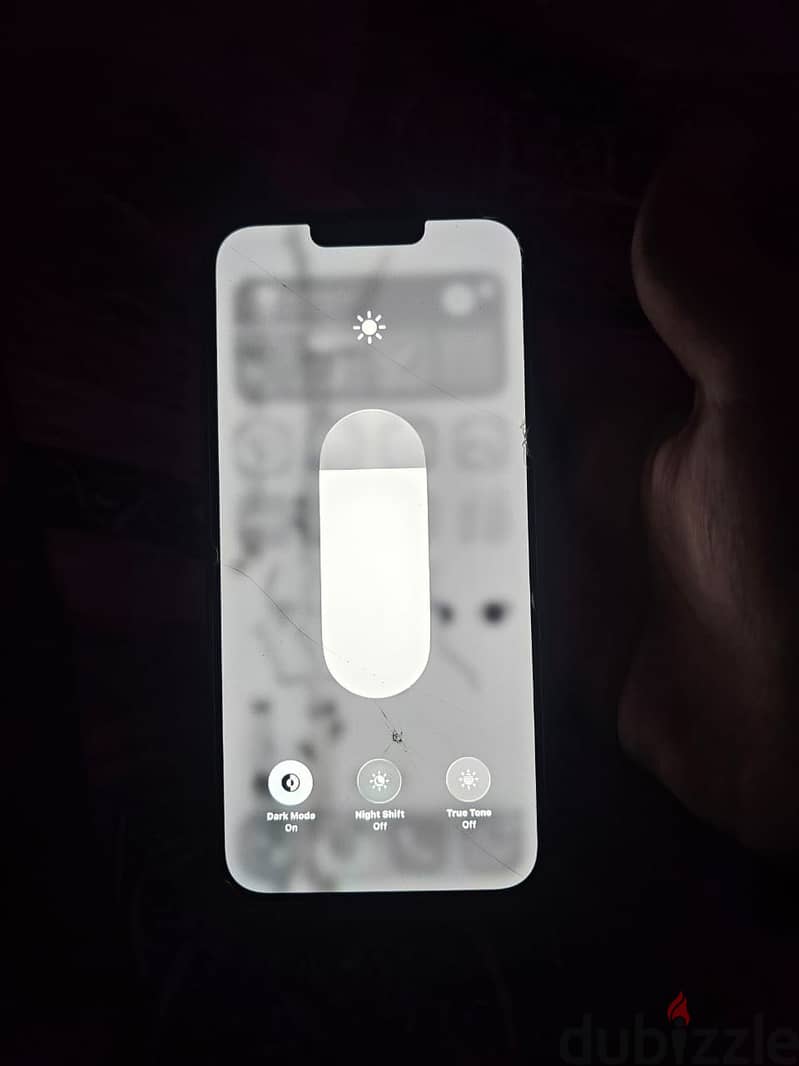 iPhone 13 Pro Max 1