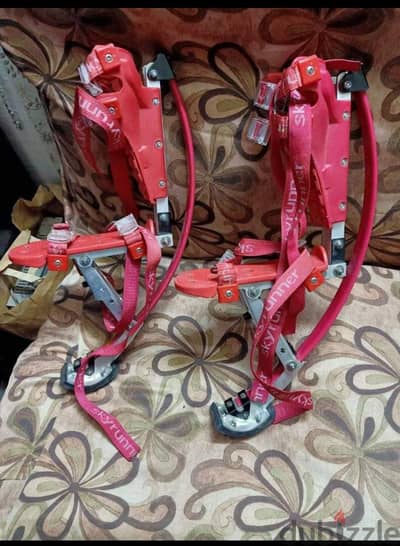 لعبة بيونيك