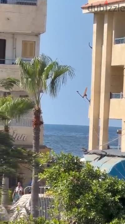 شقه للايجار المفروش المعمورة الشاطئ